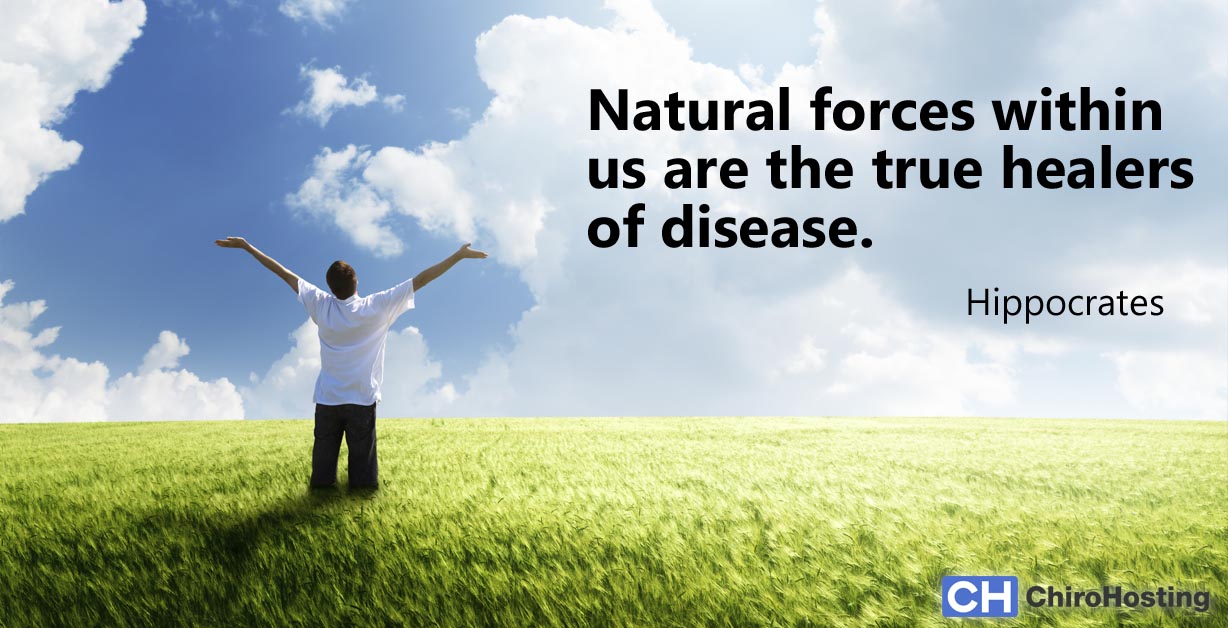 Roselle, IL chiropractor